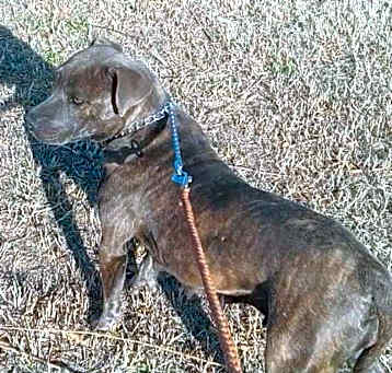 Photo of Sally