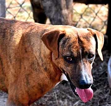 Photo of Itsy