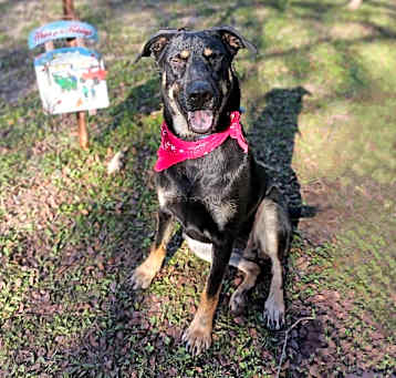 Photo of ARTEMIS