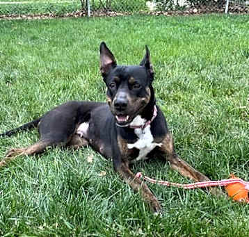 Photo of Bella
