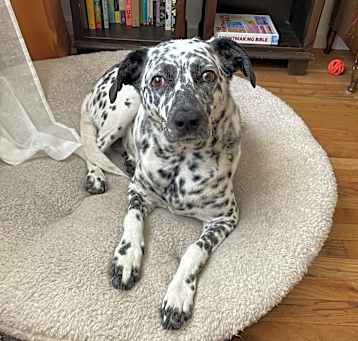 Photo of Lucy