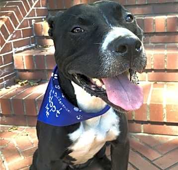 Photo of Wally
