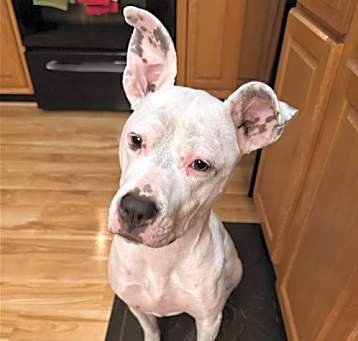 Photo of Luna Lady