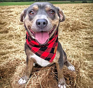 Photo of JESSIE