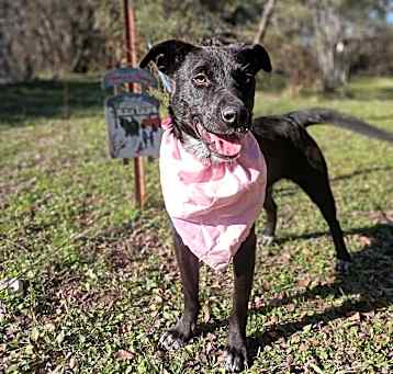Photo of TILLY
