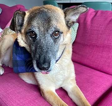 Photo of Lucyll