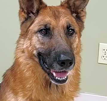 Photo of Mavrick