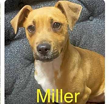 Photo of Miller