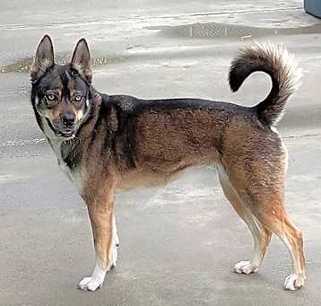 Photo of Frankie