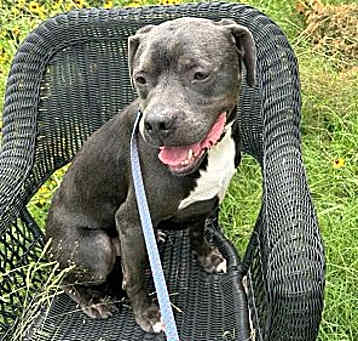 Photo of Capone