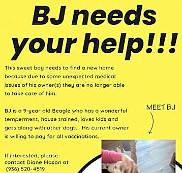 Photo of BJ