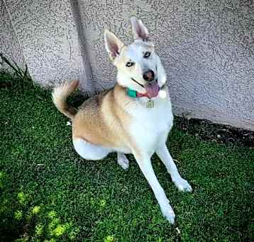 Photo of Kiwi