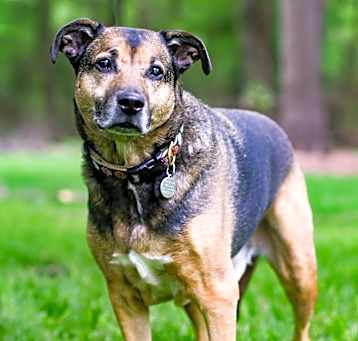 Photo of Axel