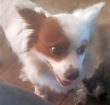 Photo of Isaac