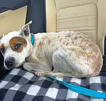 Photo of Penny Lane