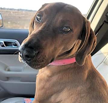 Photo of Charley