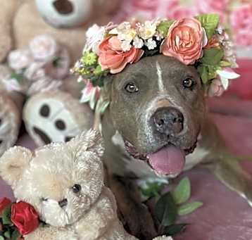 Photo of Missy Elliot