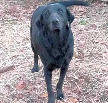 Photo of Ethel
