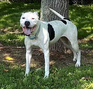 Photo of Maisy