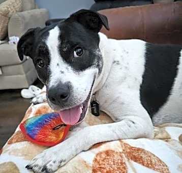 Photo of Luna