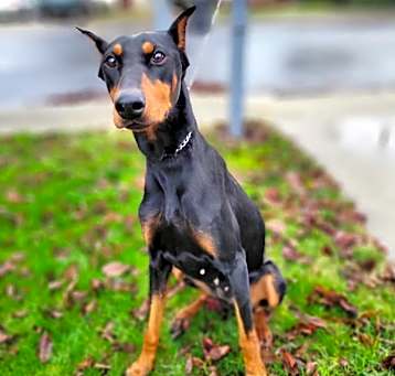 Photo of Gabbana