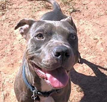 Photo of Smiley