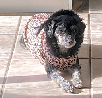 Photo of Kiara