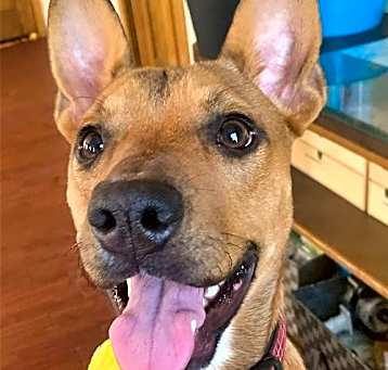 Photo of Lucky Penny