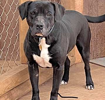 Photo of Emmitt