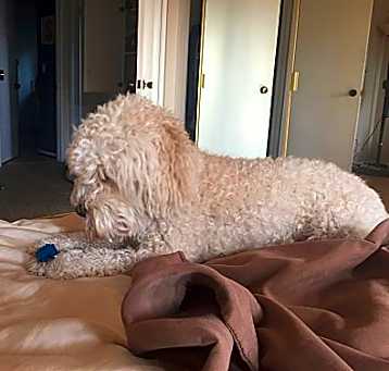 Photo of LEON-Urgent-Help needed