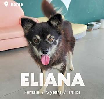 Photo of Eliana