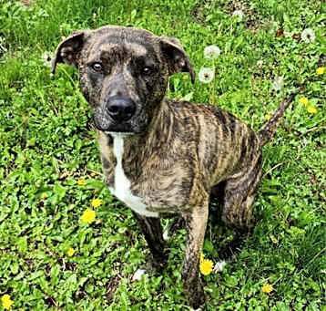 Photo of Baby Girl