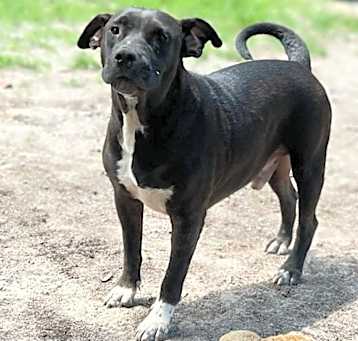 Photo of Maverick