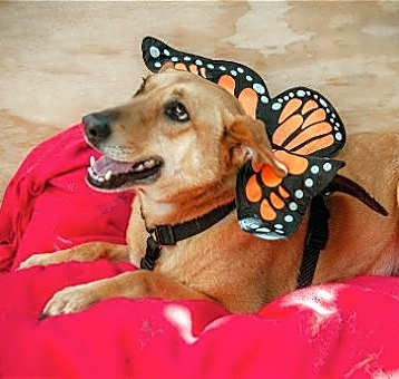 Photo of Wendolyn