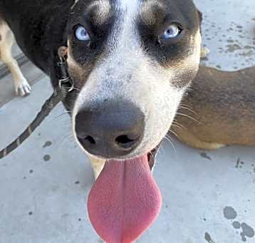 Photo of Maggie Waggie