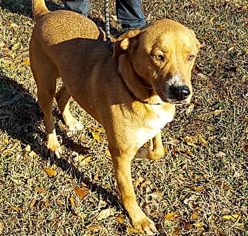 Photo of JASPER