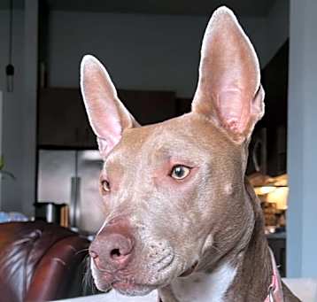 Photo of Ebbie (CP)