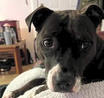 Photo of Marleigh