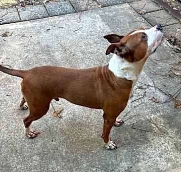 Photo of Max