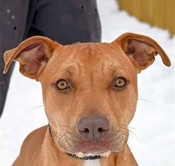 Photo of Marco