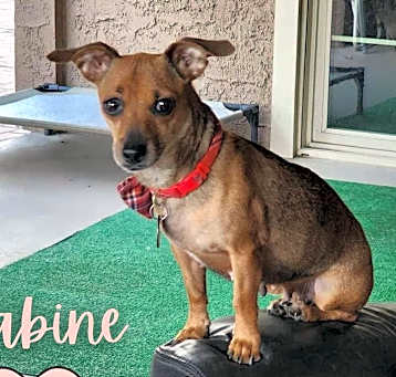 Photo of Sabine