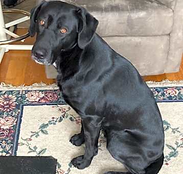 Photo of Whitey Axel Ro