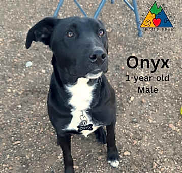 Photo of Onyx