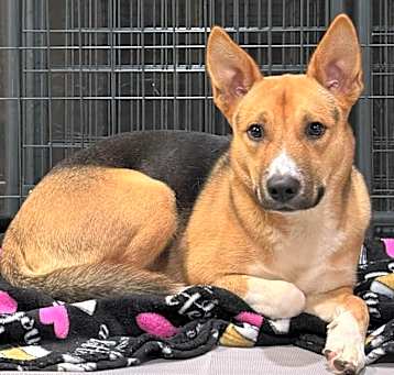 Photo of Xena