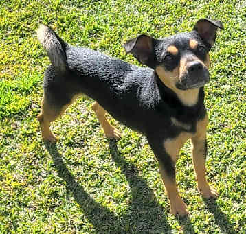 Photo of TOBY