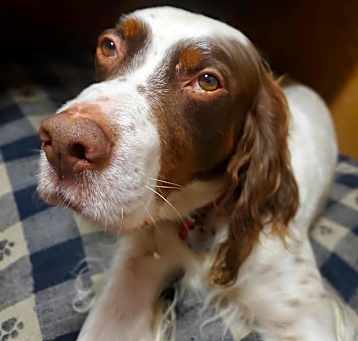 Photo of George