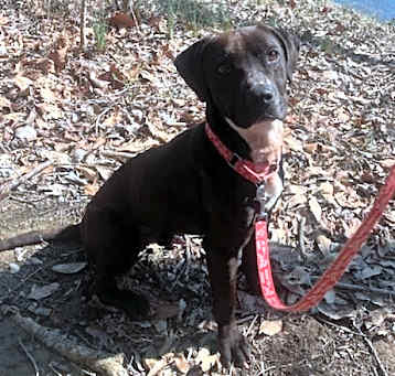 Photo of Talos