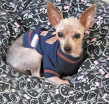 Photo of Kirby