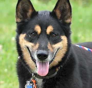 Photo of Taniel