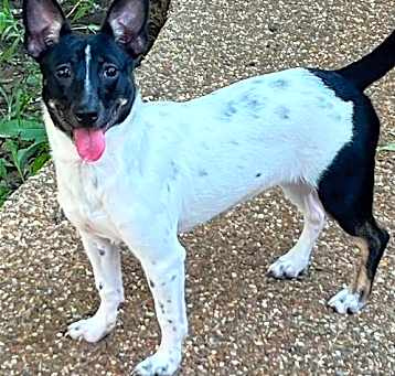 Photo of Macy